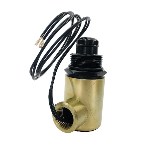 AST solenoid valve Z2805013