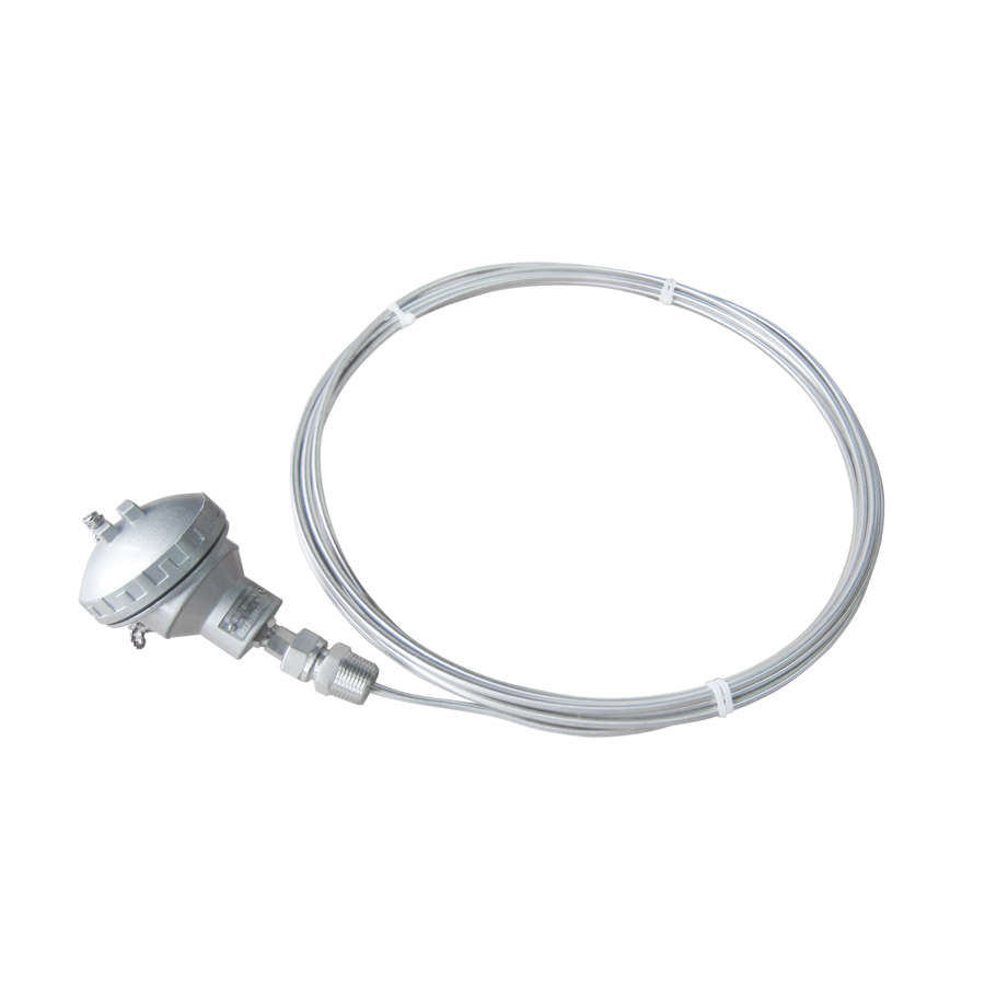 Armored Thermocouple WREK2-294