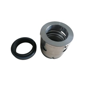 Feedwater pump mechanical seal FK5G32M
