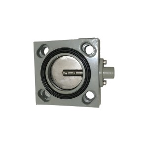 stainless steel butterfly check valve DH71X-10