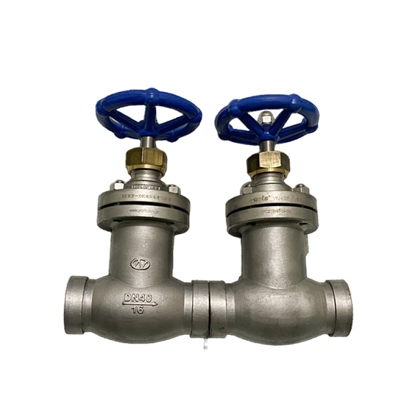 Stainless Steel Bellows Globe Valve WJ40F-1.6P