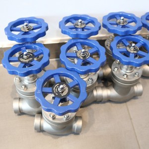 Z962Y-160 electric welded gate valve