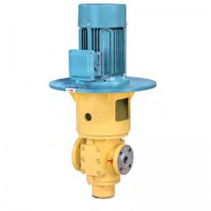 Vertical lubricating oil pump 70LY-34X2-1B