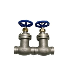 Bellows Globe Valve WJ40F1.6P