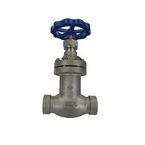 Bellows sealed steel globe valve KHWJ15F1.6P