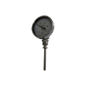 WTYY series Bimetal ThermometerTemperature Gauge (1)