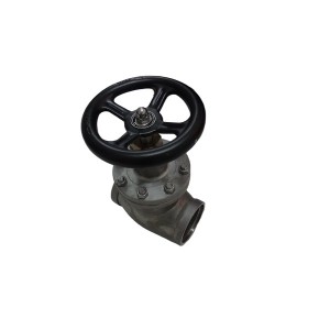 stainless steel globe throttle check valve LJC100-1.6P