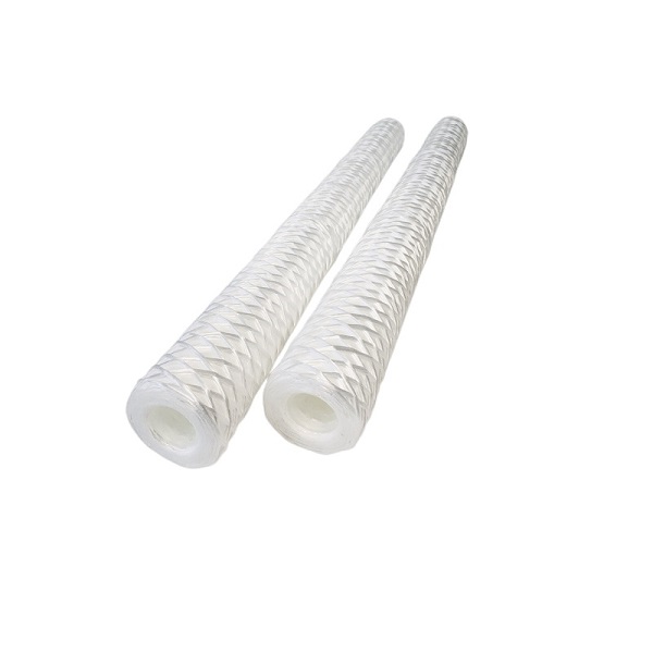 Generator stator cooling water filter WFF-150-1