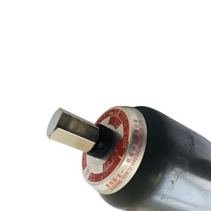 Bladder Accumulator Repair Seal Kit NXQ-L40/31.5H