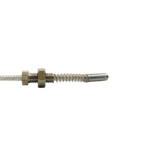 Armored RTD temperature sensor WZPK2-336S