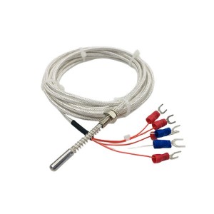 Armored RTD temperature sensor WZPK2-336S