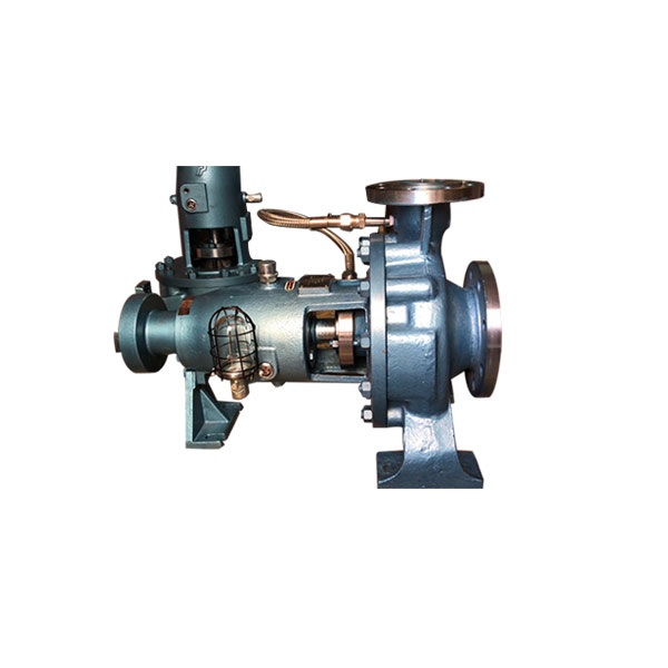 stator cooling water pump YCZ65-250B (2)