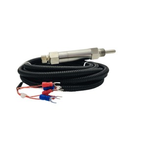Armored RTD temperature sensor WZPK2-336S