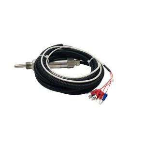 RTD thermal resistance